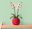 A potted artificial orchid arrangement with white flowers and green leaves sits on a light wood shelf against a pale mint green background. The flowers are in a round, textured ceramic plant pot with horizontal rows of pink, magenta and orange crystal.