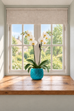 A potted white orchid plant in a textured turquoise blue ceramic plant pot sits on a wooden windowsill in a bright room. The window has a beige roller blind and a view of green trees outside.