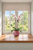 A pink textured ceramic pot decorated with pink crystals holding a potted white and pink orchid, placed on a wooden windowsill in front of a white-framed window with a beige roller blind.