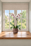 Brown ceramic plant pot decorated with sparkling brown crystals containing a white orchid shown displayed on windowsill. 