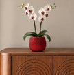 A crimson red ceramic plant pot decorated with sparkling ruby red crystals containing a white orchid. Pot is shown sitting on a brown sideboard. 