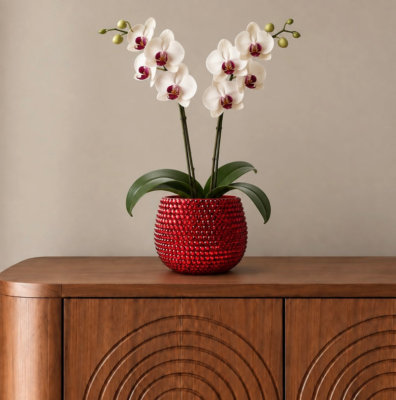 A crimson red ceramic plant pot decorated with sparkling ruby red crystals containing a white orchid. Pot is shown sitting on a brown sideboard. 