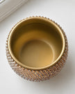 A shot of the opening diameter of Gilded Grace plant pot. 