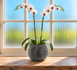 Grey Gatsby grey ceramic planter with silver crystal heart and flowers on a rustic wooden windowsill