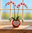 Pink orchid flowers in a red ceramic pot with a white crystal heart on the front, placed on a wooden windowsill with a bright window background.