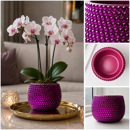 A collage showing a decorative magenta plant pot with a textured, crystal exterior, holding a white orchid. The left panel shows the pot on a gold tray in a living room setting, while the right panels show close-up detail views of the pot's texture and interior.