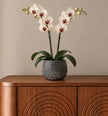 A potted artificial white orchid arrangement with green leaves and stems, displayed in a textured charcoal grey ceramic plant pot on a wooden cabinet against a warm beige wall.