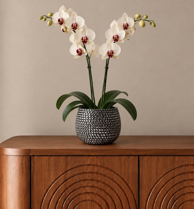 A potted artificial white orchid arrangement with green leaves and stems, displayed in a textured charcoal grey ceramic plant pot on a wooden cabinet against a warm beige wall.
