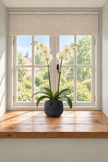 A potted white orchid plant with yellow centers in a black ceramic plant pot decorated sparkling black crystals. The plant pot sits on a wooden windowsill in front of a white-framed window with a beige roller blind. Sunlight streams in from the left, casting soft shadows on the wall and sill, with green trees visible outside.