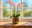 A light sage green ceramic plant pot with a sparkling pink crystal heart on the front, holding two tall stems of pink orchids, set on a wooden windowsill with a bright window and greenery in the background.