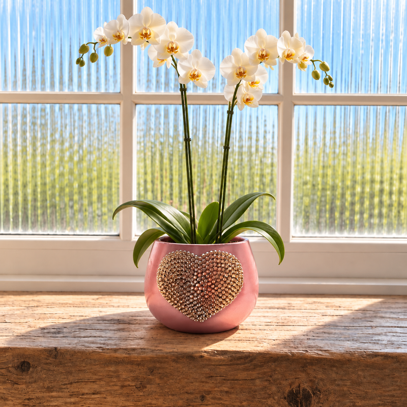 A pink ceramic planter with a champagne gold crystal heart on the front, holding a white orchid plant with green leaves and blooms, placed on a wooden windowsill with a bright window background.