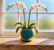 A potted white orchid with green leaves and yellow-orange centers sits on a wooden windowsill in front of a bright window. The pot is gold with a prominent turquoise heart design on the front.