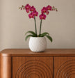 A potted artificial Phalaenopsis orchid with vibrant magenta flowers and green leaves, displayed in a textured white ceramic pot on a wooden credenza against a neutral beige wall.