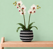 A potted artificial white orchid with green leaves and stems, set in a black and silver ceramic plant pot decorated with black and silver crystals, resting on a light wood shelf against a solid mint green background.